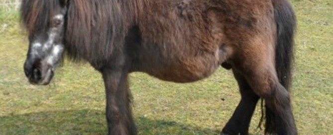 beitragsbild maxl TP007_15