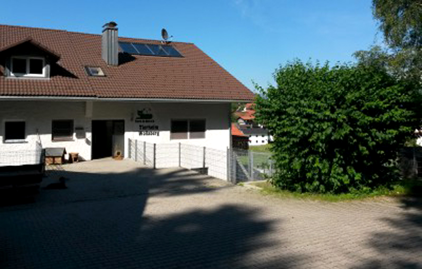 Tierheim Wollaberg Eingang Beitragsbild