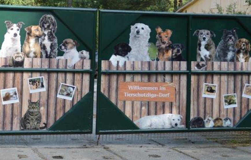 beitragsbild tierschutzliga dorf