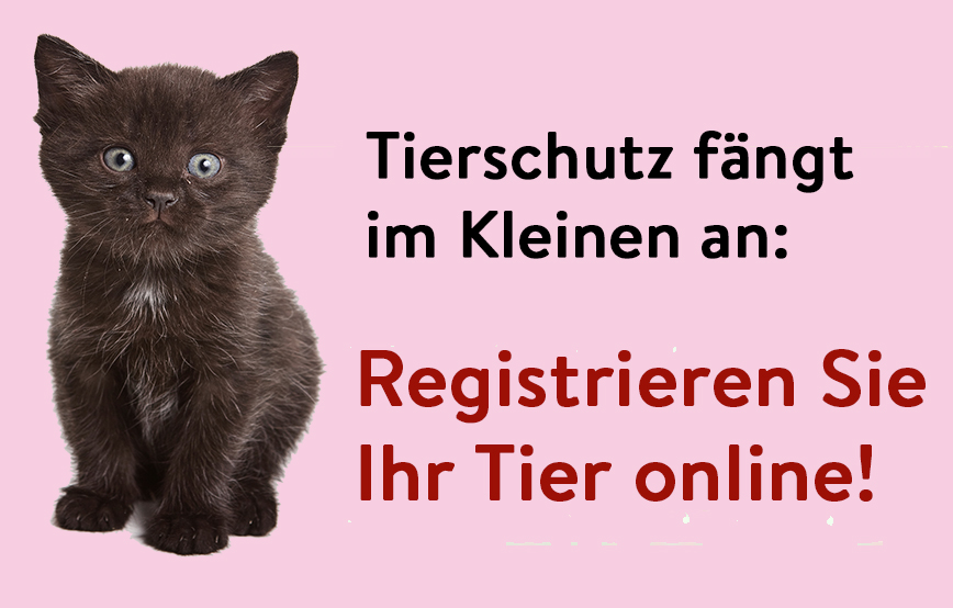 beitragsbild tierschutz klein unterheinsdorf