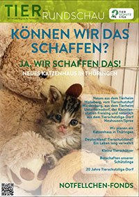 tierrundschau 02 16