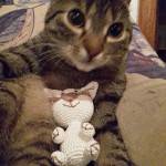 KAtze hat Häkelpuppe Murkl auf dem Bauch