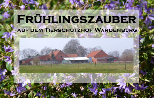 fruehlingszauber