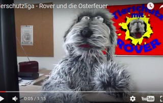 beitragsbild rover osterfeuer tierschutzliga