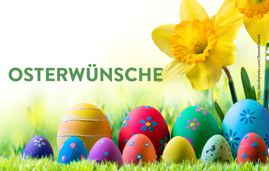 beitragsbild osterwünsche blumen tierschutzliga