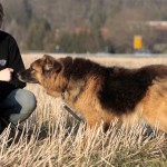 hunde Bisquit und Vivaldi mit frau
