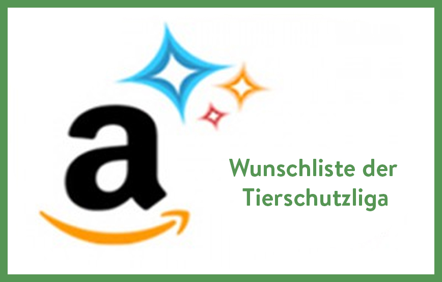 beitragsbild wunschliste amazon