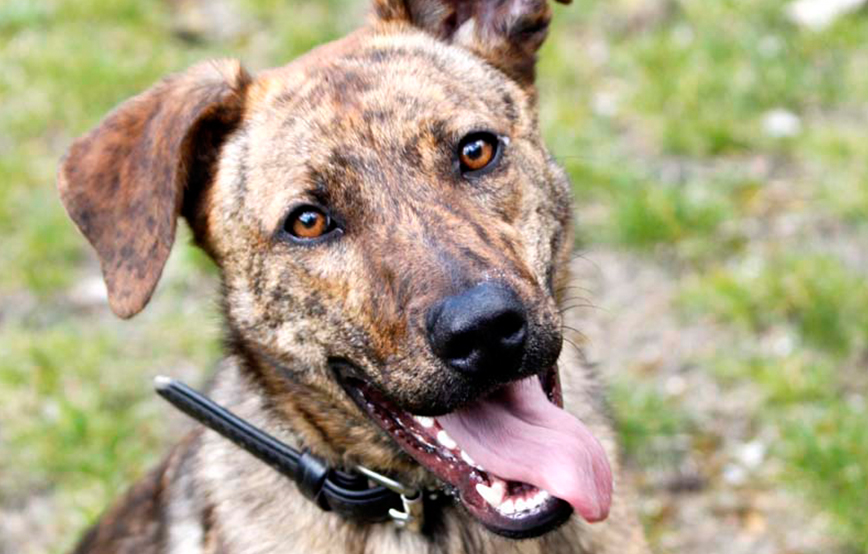 beitragsbild wo ist lua