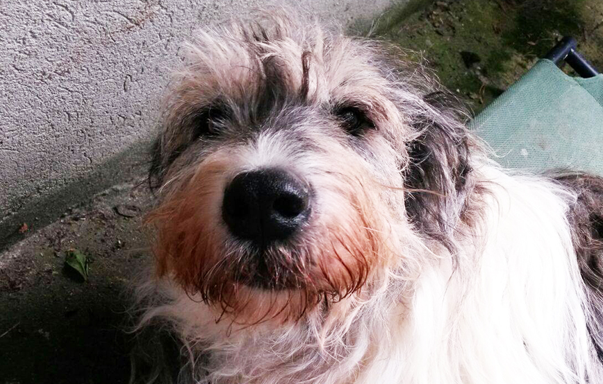 beitragsbild annouschka zähne kaputt zahnschmerzen