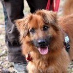 Knut ist ein sehr schlaues Köpfchen