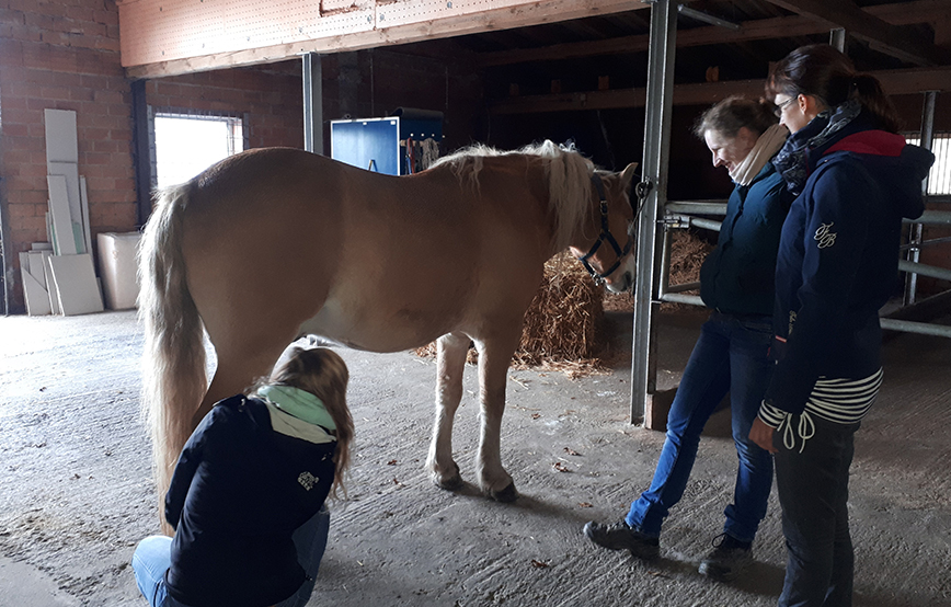 beitragsbild artikel