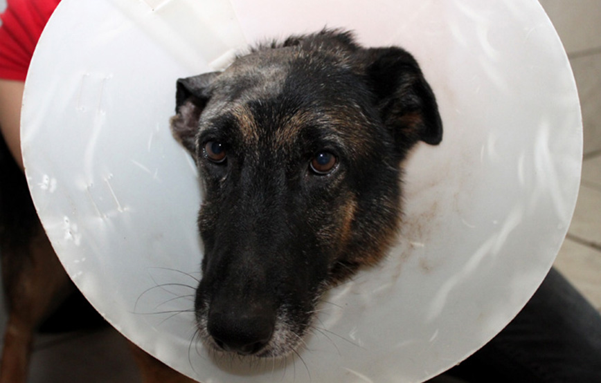 beitragsbild update ruby ohr operation