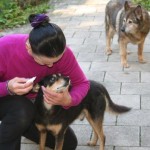 elliot alt blind augentropfen