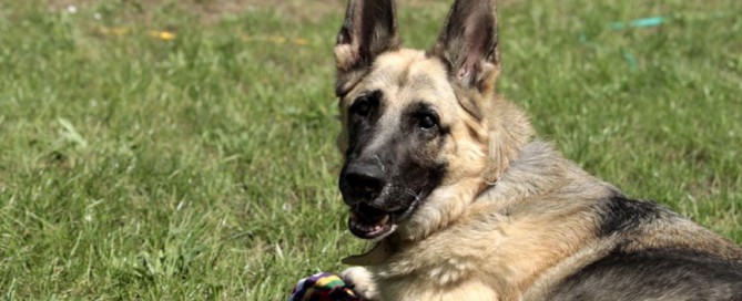 Isabell genießt das spielen