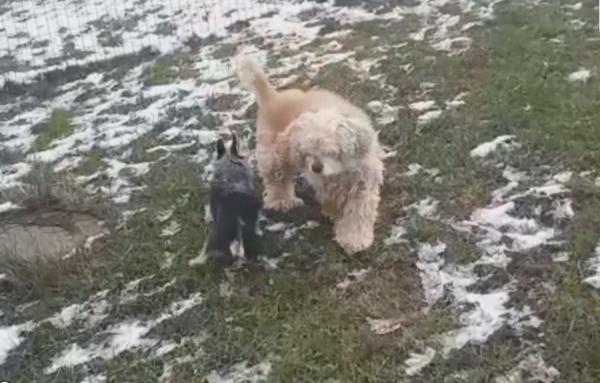 beitragsbild julia alt krank