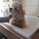 omi julia augen baden