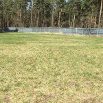 Hundeplatz Tierschutzliga Dorf