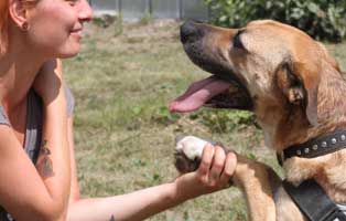 facebook beitragsbild neu klein