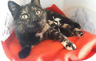 gartenanlage start ins leben