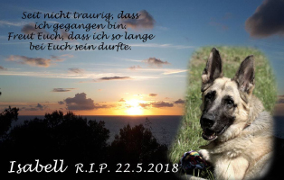 isabell beitragsbild