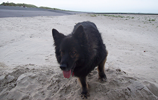 ASTI Olaia strand beitragsbild