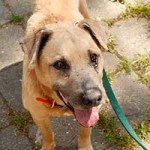 patentier nchewbaka tierparadies oberdinger moos