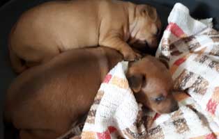 jule nfenja patenkinder kuscheln