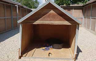 tierheim wollaberg hundehuetten wand fehlt