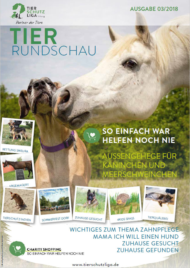 tierrundschau 03 18 titel