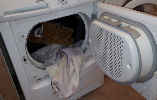 waeschetrockner defekt ntierheim unterheinsdorf