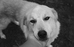 bingo verstorben unterheinsdorf