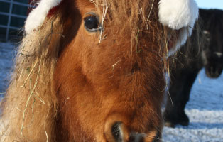 ausbildung wardenburg