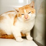 floffi notfall tierschutzliga dorf sitzt