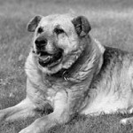 opi simon verstorben wiese bw