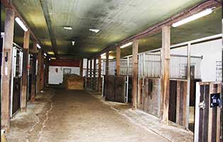 wardenburg boxenstall umbau