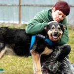 hund hasso verstorben pflegerin streichelt