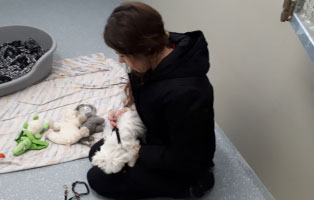 schnuppertag ausbildung kaninchen lernen