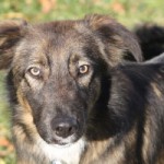 tommy&kaja zuhause gesucht kaja