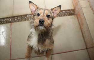 Ruede 05, 1 Jahr februar 2019