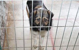 Ruede 16, 3 Jahre februar 2019