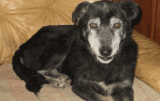 patentier mia oberdinger moos