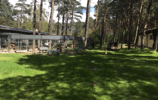 fruehjahrsputz tierschutzliga dorf 2019