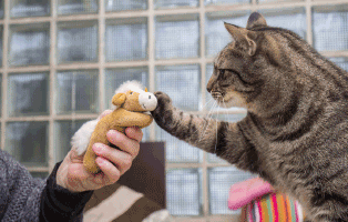 seminar carmen schell