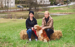 tierisch tierisch fernsehsendung interwiew hund