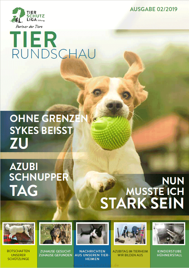 tierrundschau 02 19 titel