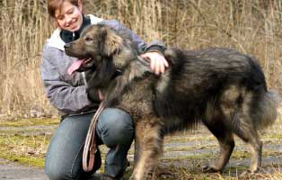 gluecklich vermittelt mufasa