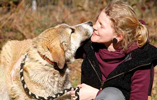 gluecklich vermittelt susi