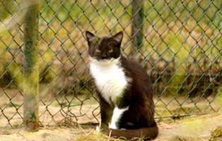 gluecklich vermittelt willbour