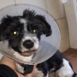 huendin lina notoperation trichter