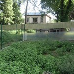 katzenauslauf netzschkau fortschritt auslauf